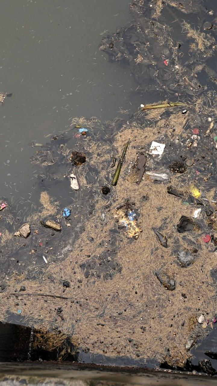 Жители Власихи обеспокоены незаконным сливом отходов рядом с кладбищем