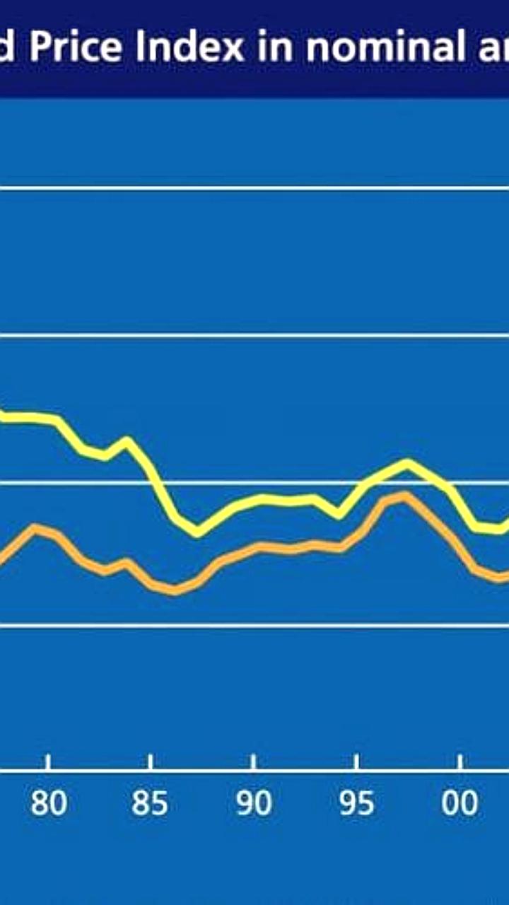 Мировые цены на продовольствие снижаются, но реальная ситуация остается критической