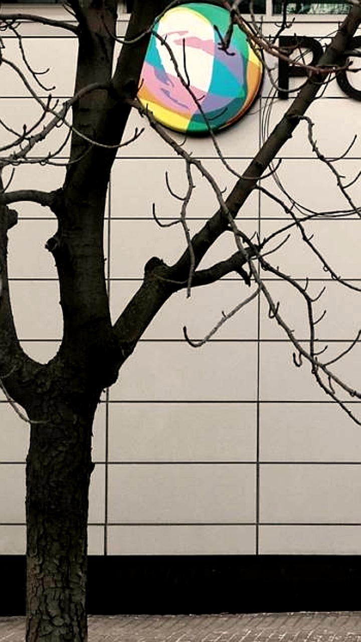 Роснано подала иск к экс-руководителям на 11,9 млрд руб. из-за убытков по проекту Crocus