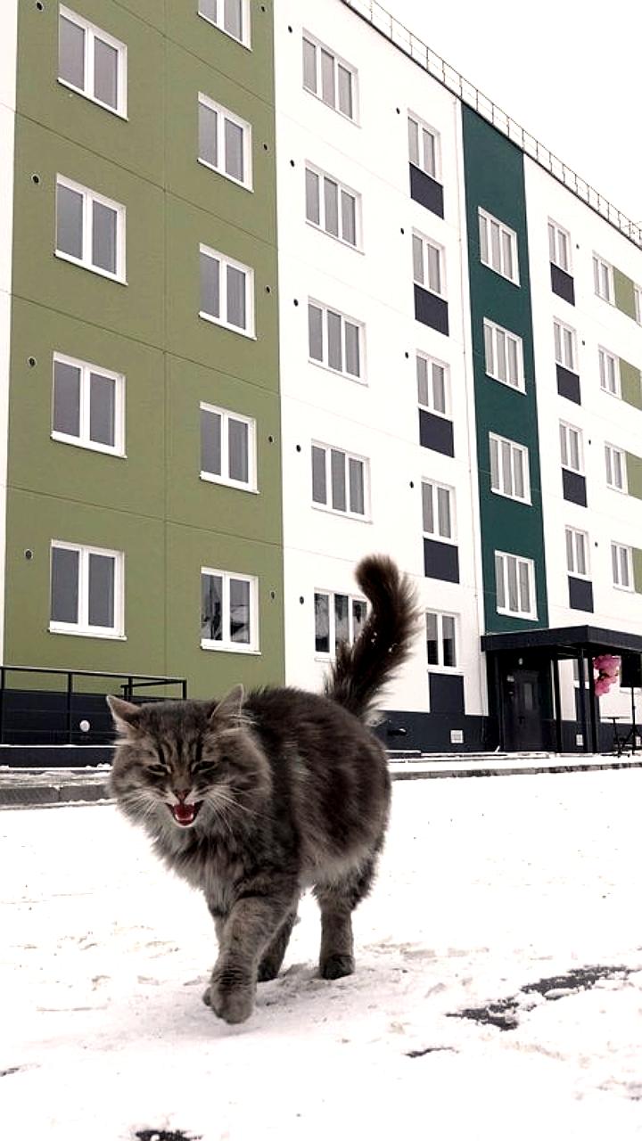 Старт строительства нового жилого дома для расселения аварийного жилья в Суоярви