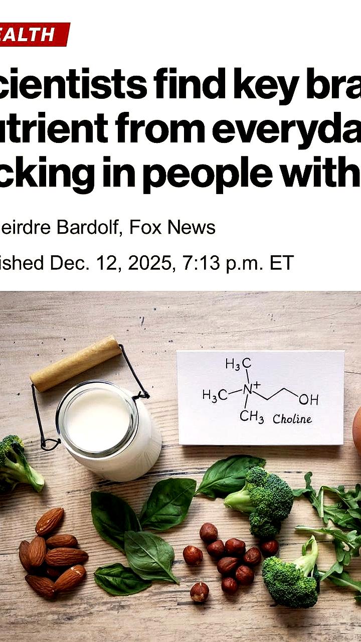 Исследование: Увеличение холина в рационе может снизить уровень тревожности