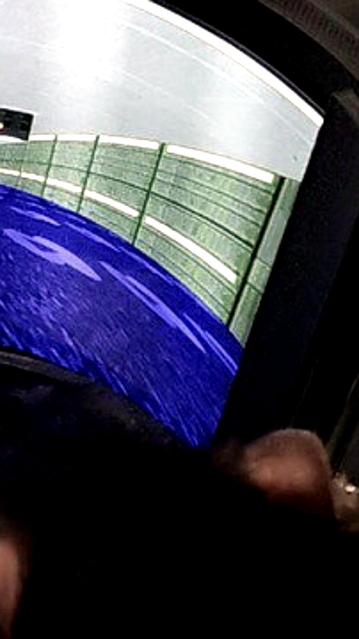 Крысы обучены играть в DOOM с помощью VR-технологий