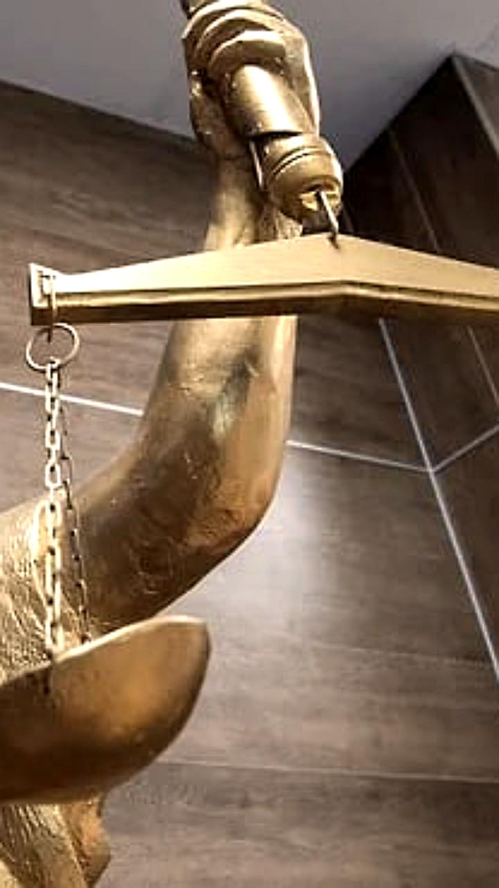 Апелляционный суд признал незаконным использование товарного знака и обязал Синергетик выплатить 766 млн руб