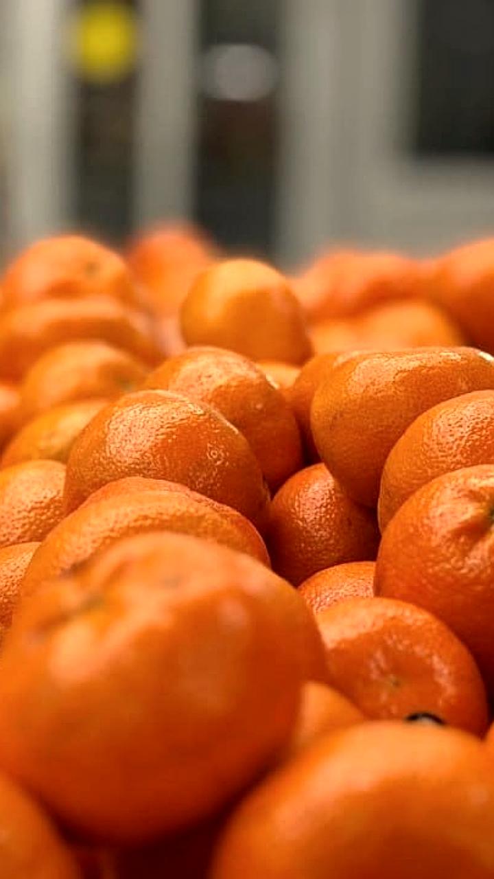 Россия увеличила импорт мандаринов в 2023 году, особенно из Турции
