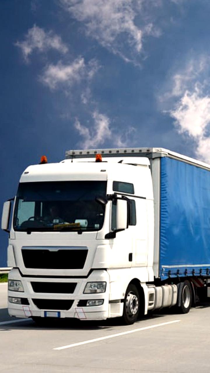 Увеличение грузоперевозок и пассажиропотока в России за 2025 год