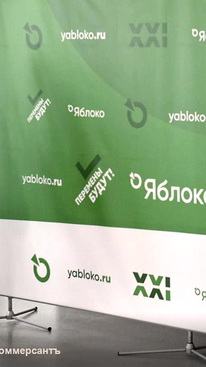 Демократический электорат России: перспективы и расклады перед выборами 2026 года