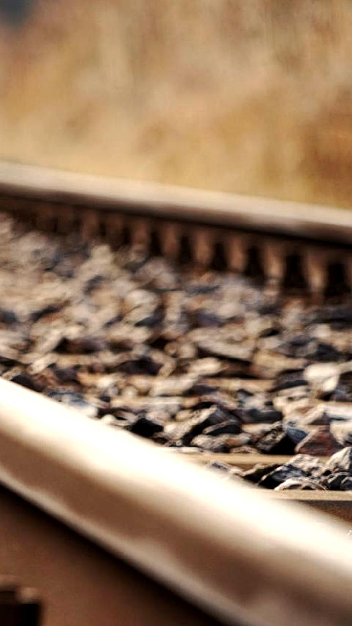 Дагестан и Кубань на первом месте по ДТП на железнодорожных переездах юга России