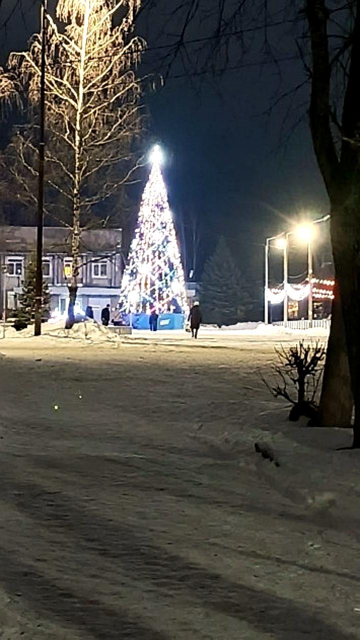 Подготовка к новогодним праздникам: установка елок и строительство ледового городка
