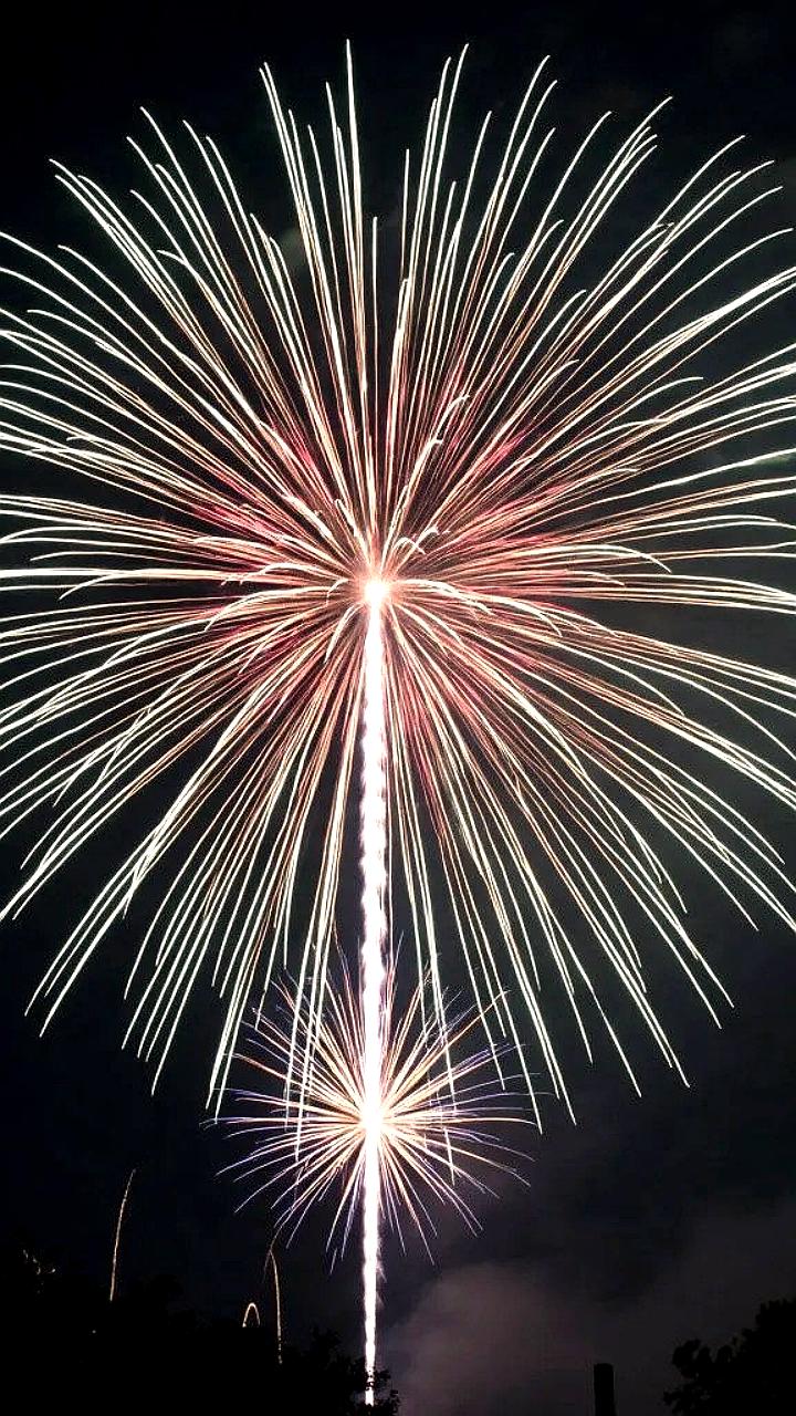 Ленобласть не запрещает новогодние фейерверки с рекомендациями по безопасности