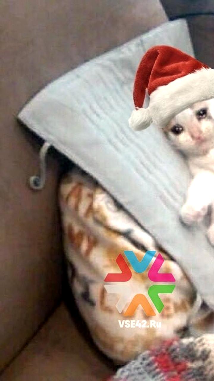 Воронеж ожидает две магнитные бури перед Новым годом