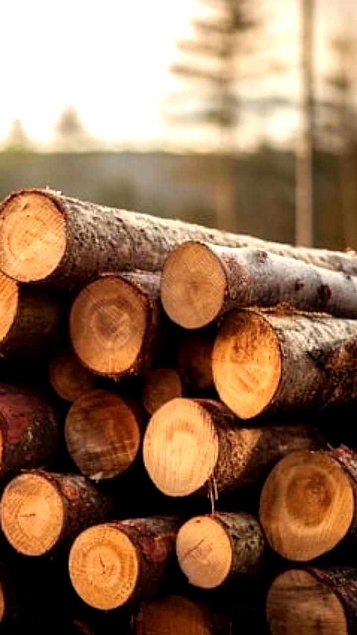 Сегежа анонсирует два новых выпуска облигаций после снижения долга