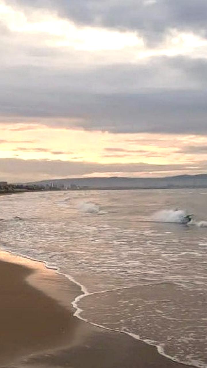 Коктебельцы просят президента ускорить реконструкцию набережной