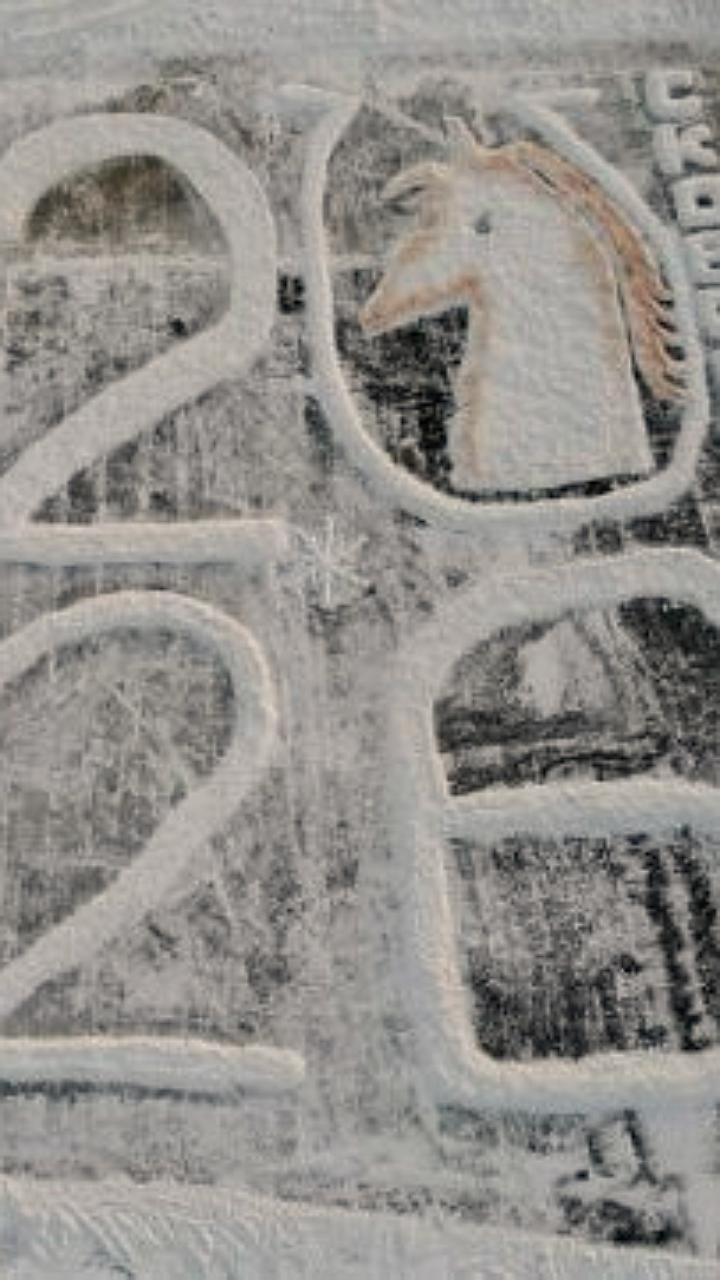 Ледовое чудо из Белогорска участвует в фестивале Амурской правды