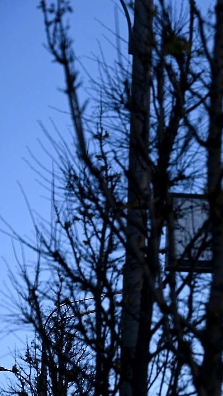 Россия и Грузия открывают путь к нормализации отношений при условии отказа от антироссийских действий