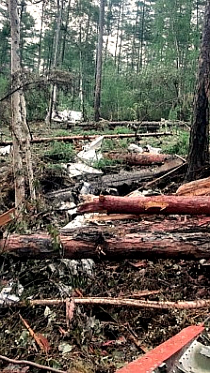 Минлесхоз Амурской области подал иск к авиакомпании Ангара за ущерб от крушения АН-24