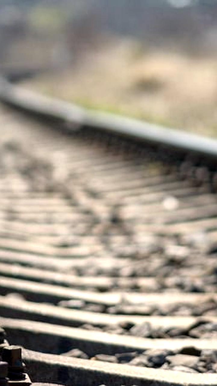 Мировой экспорт угля сократится на 5% в 2025 году из-за снижения спроса в Азии