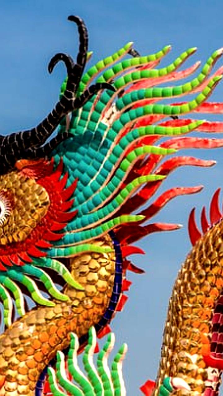 Успешный дебют MetaX на Шанхайской бирже: акции выросли на 700%