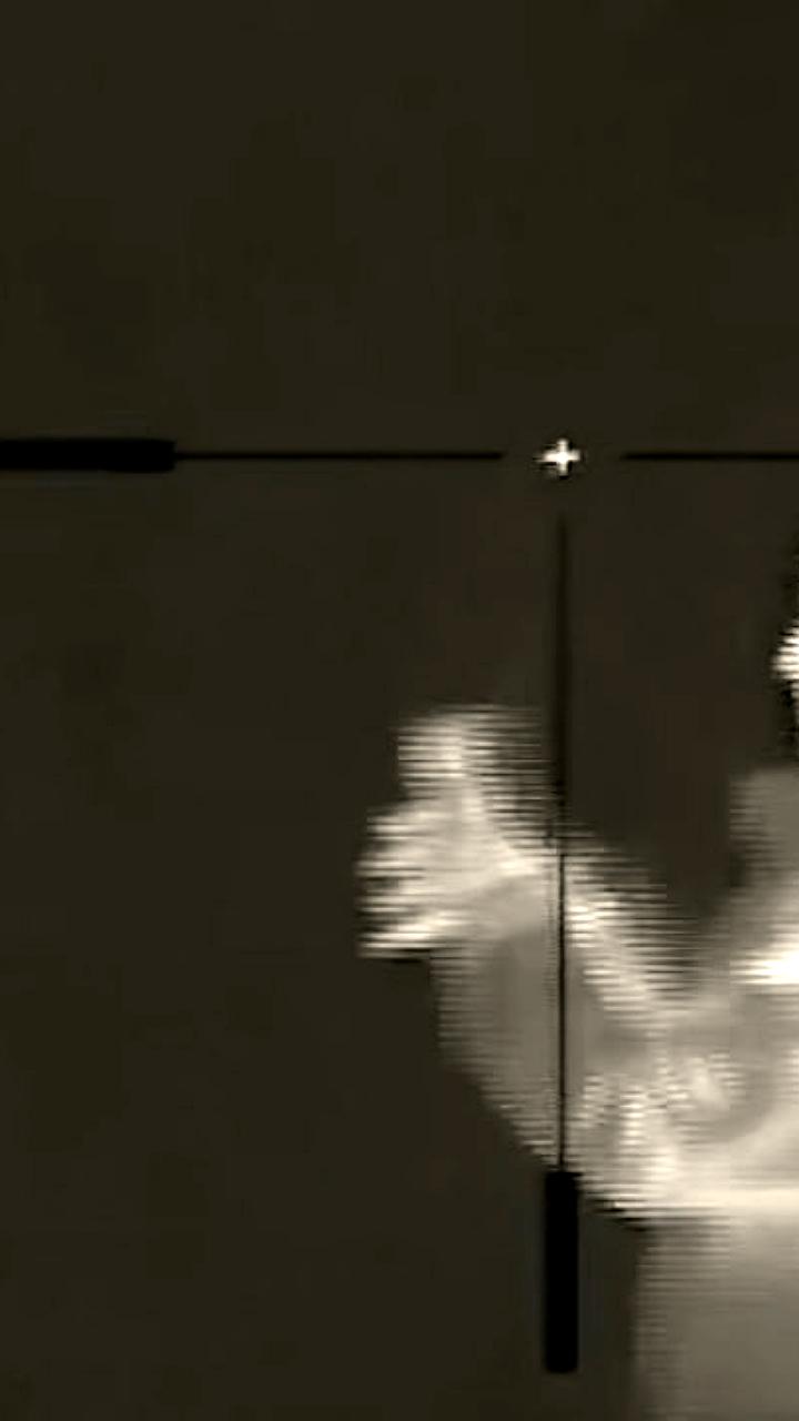 21-летняя девушка задержана за попытку диверсии в Великих Луках