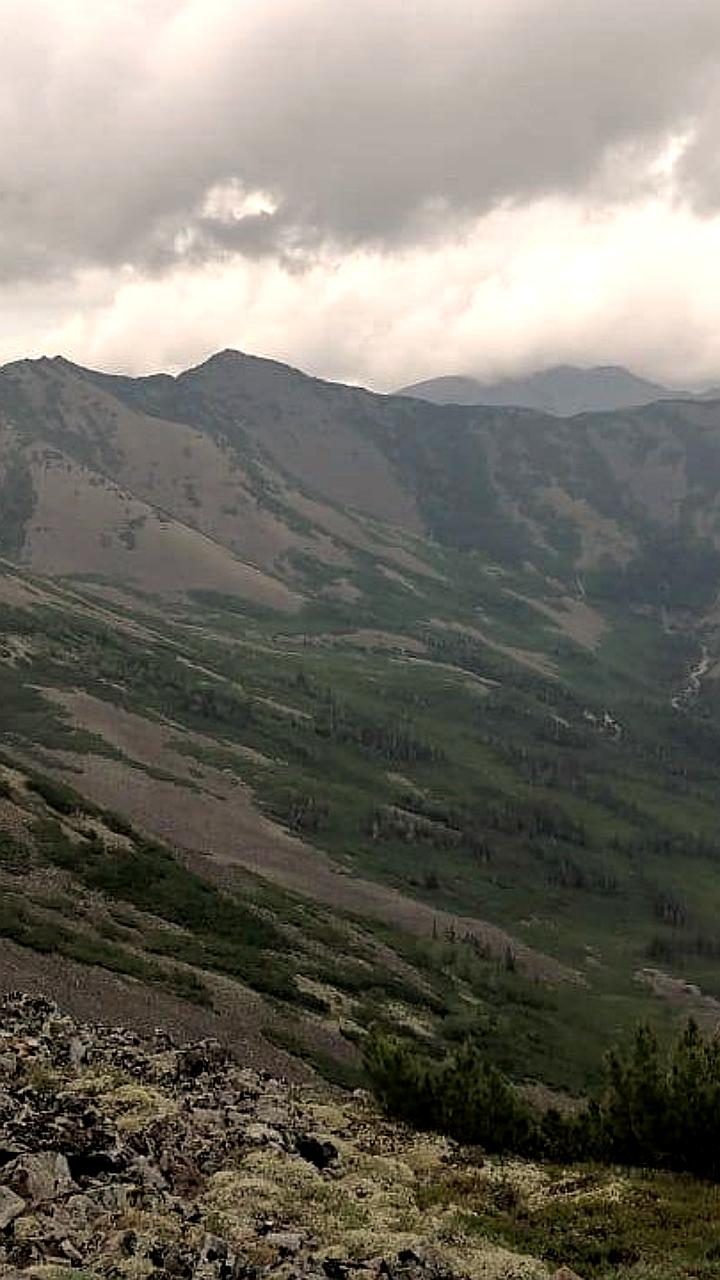 Тырская ГГК запускает геологоразведку и планирует строительство комбината в Хабаровском крае