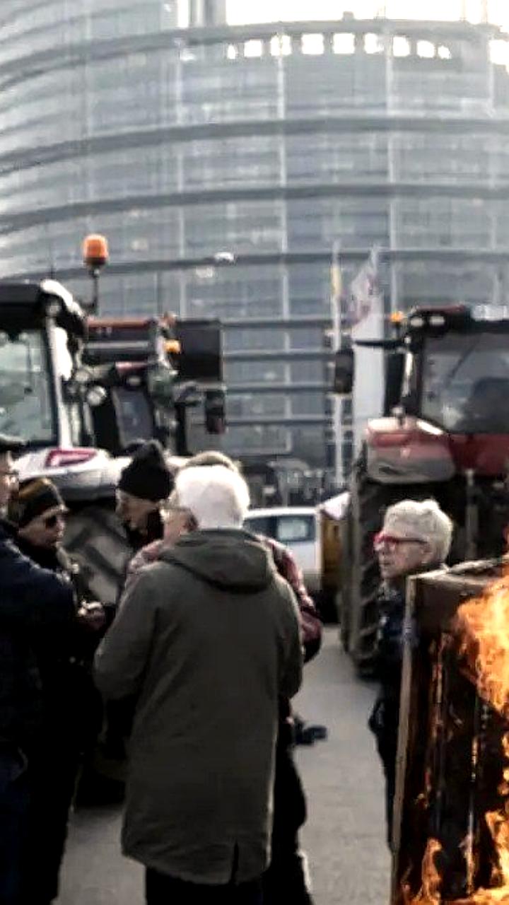 Фермеры Франции протестуют против договора ЕС с Меркосур