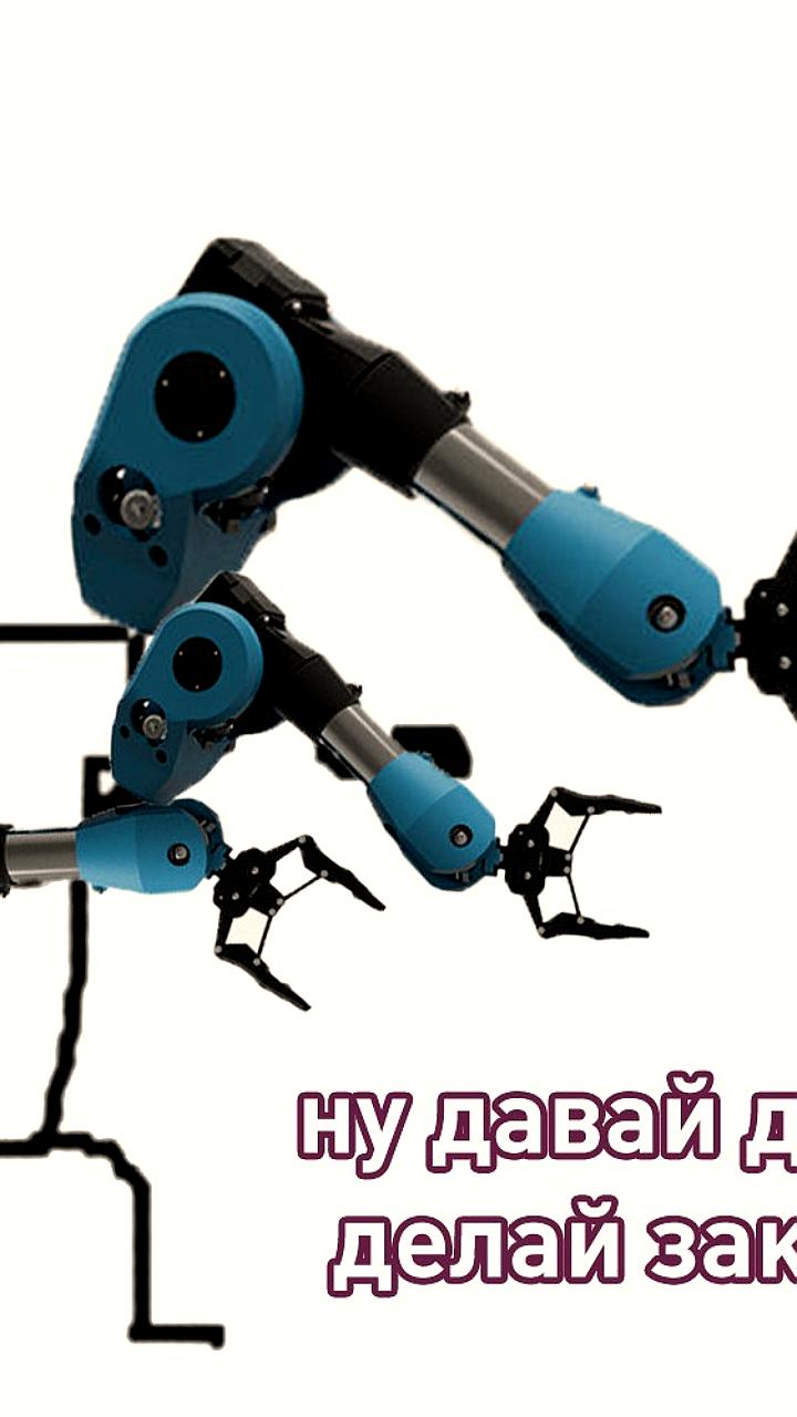 Wildberries внедряет роборуки для автоматизации сортировки товаров