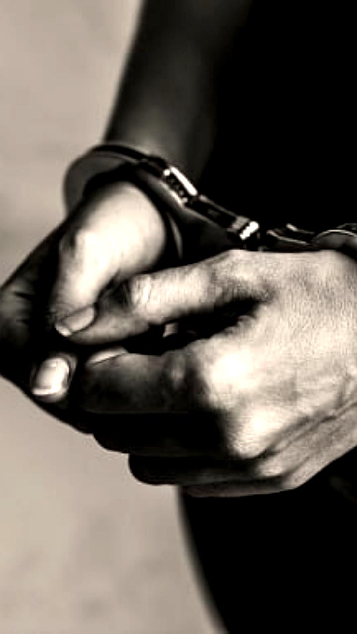 В Череповце завершено расследование дела о мошенничестве с недвижимостью