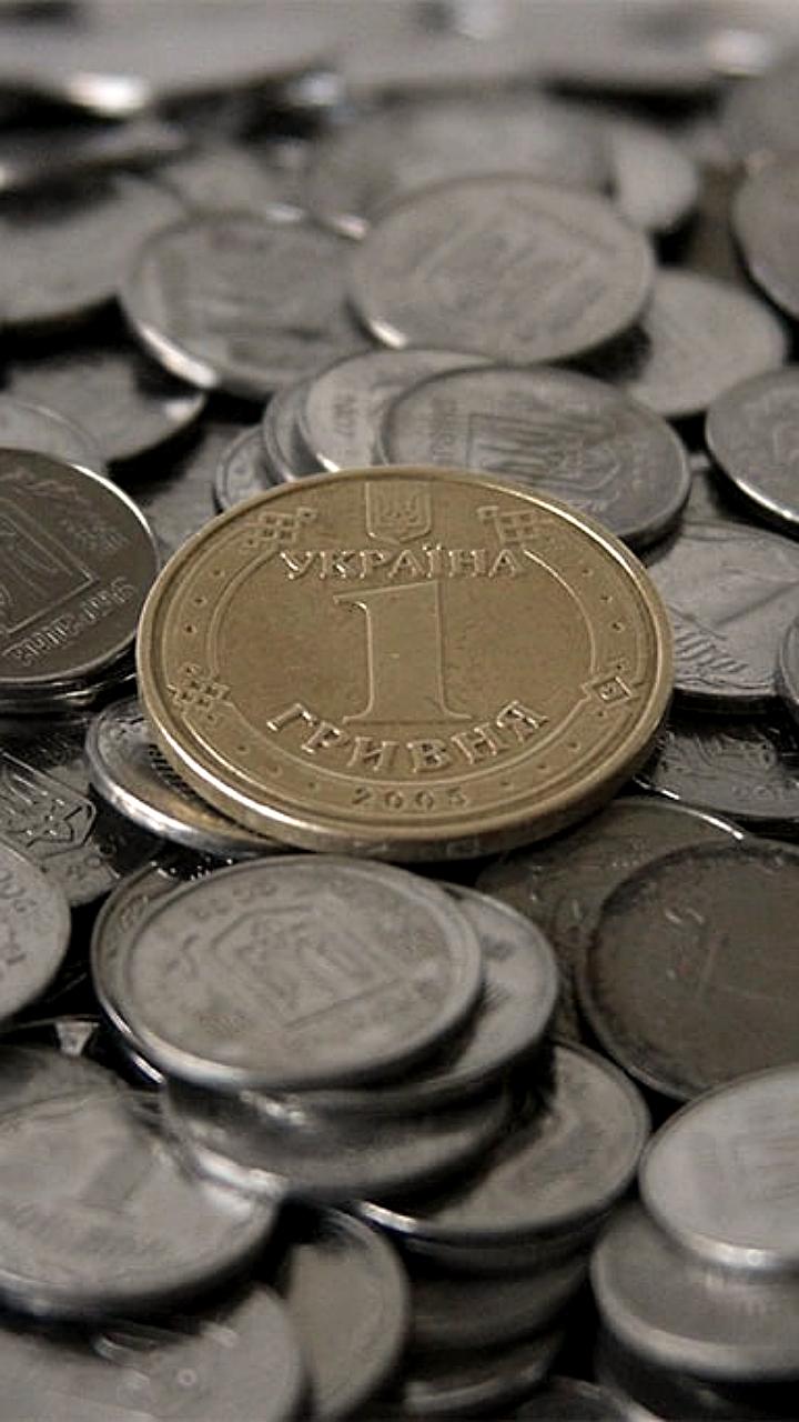 Рада поддержала законопроект о переименовании копейки в шаг