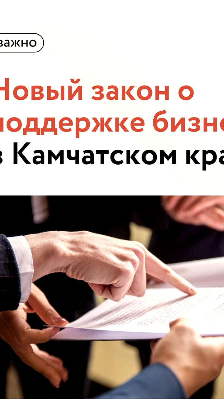 Рост малого бизнеса в Владивостоке и Марий Эл: новые рабочие места и легализация рынка