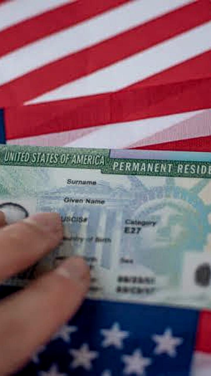 США приостанавливают программу грин-карт после инцидента в Брауновском университете