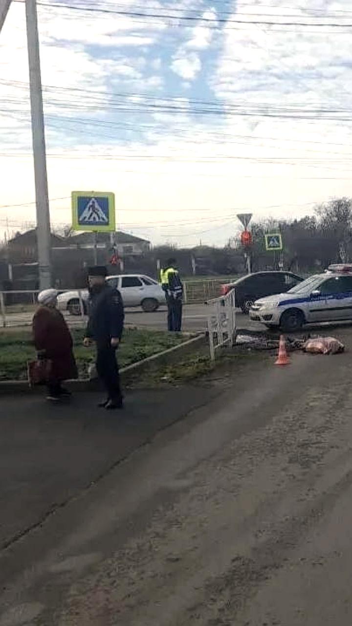 В Курганинске ученик автошколы на КамАЗе сбил пенсионерку на велосипеде