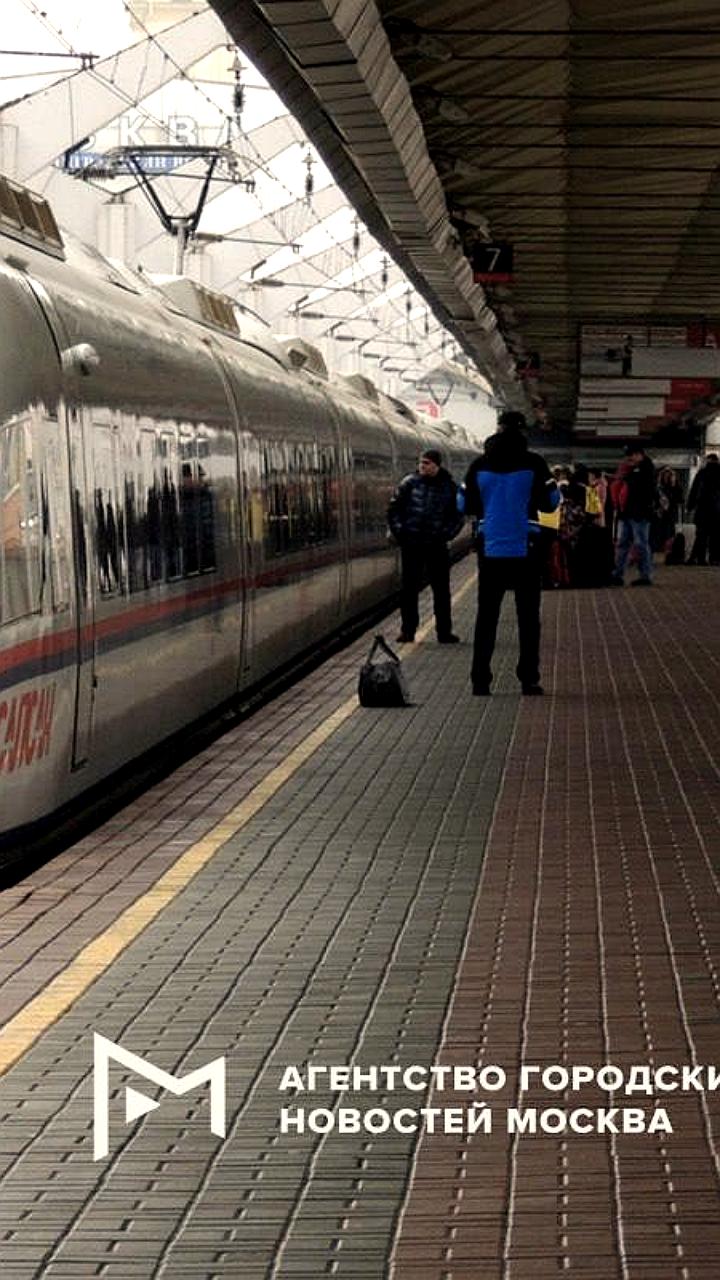 РЖД вводит дополнительные рейсы Сапсанов между Москвой и Санкт-Петербургом в преддверии Нового года