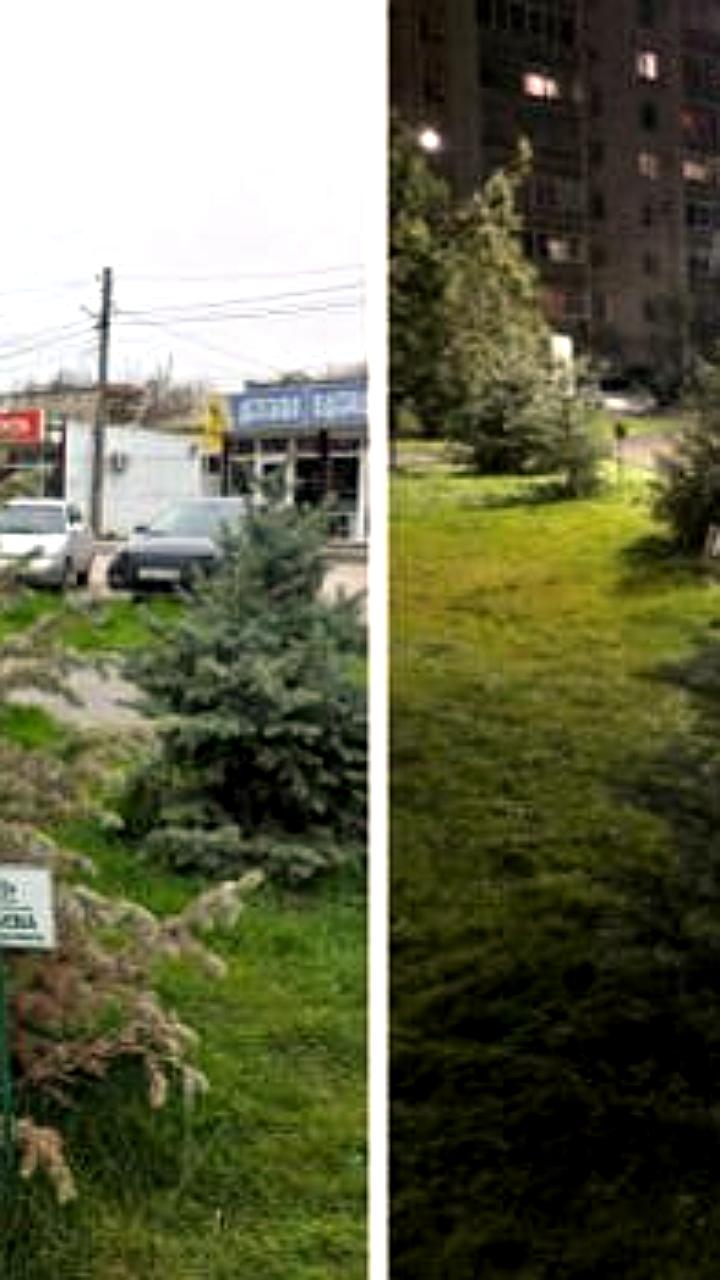 В Приморье обещают доработать критикуемую новогоднюю ёлку