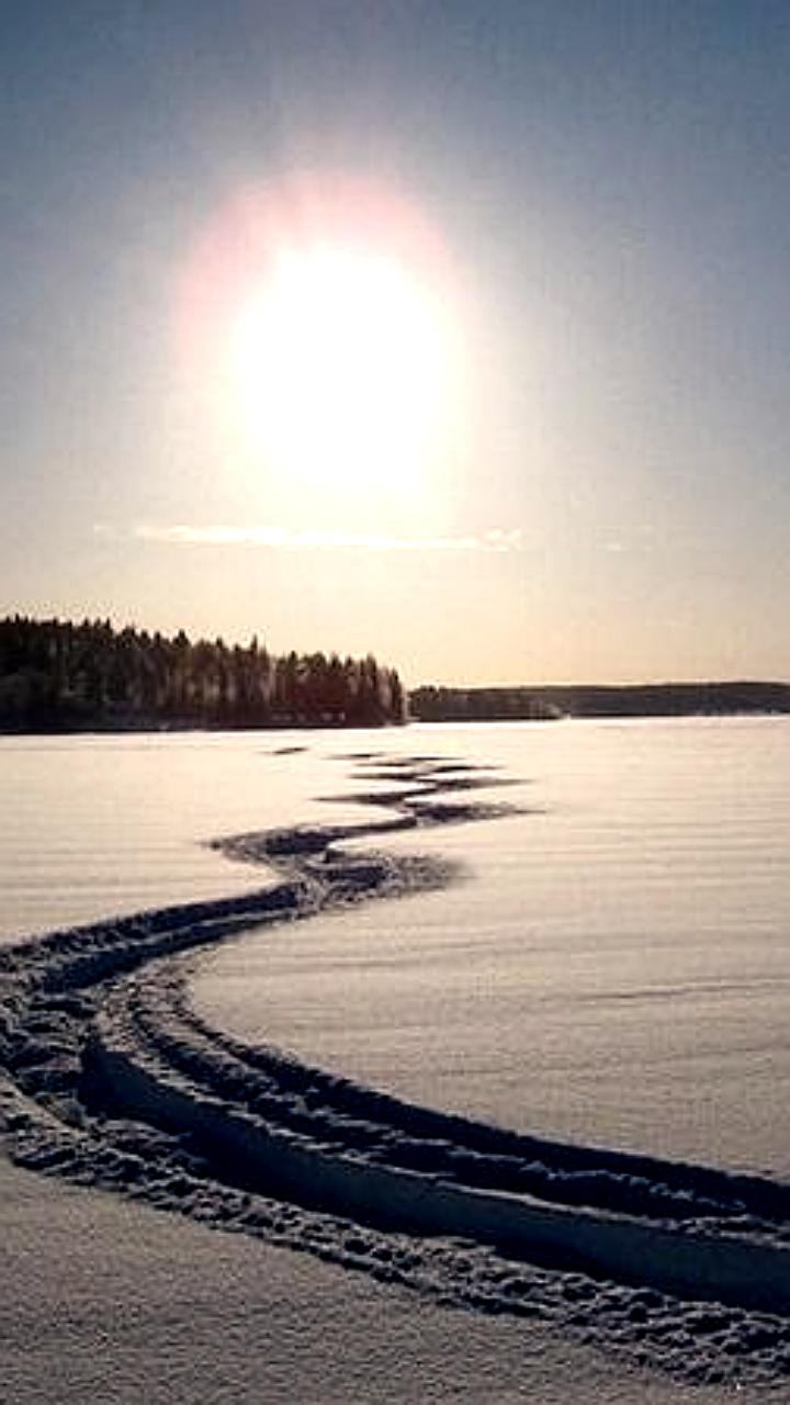 Зимнее солнцестояние 2025: самый короткий день и длинная ночь для россиян