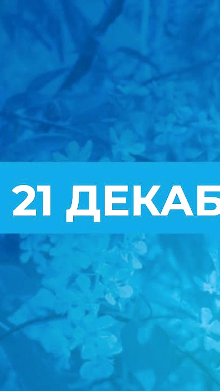 21 декабря: День Анфисы Рукодельницы и народные приметы о зиме