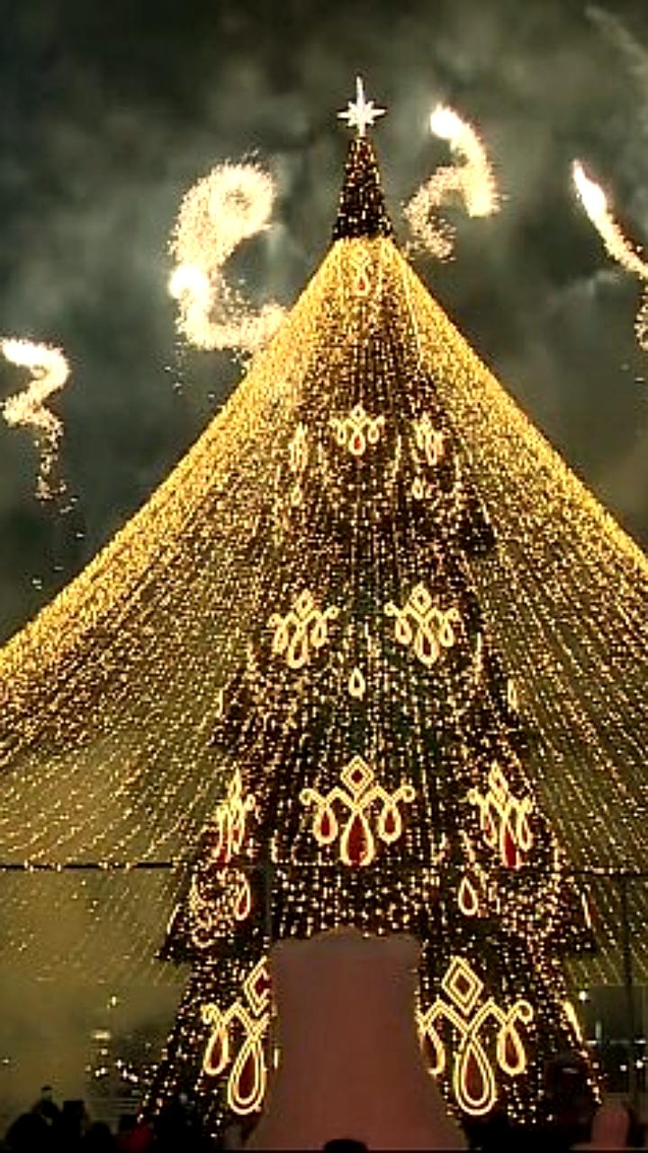 В Перми зажгли огни на рекордной 33-метровой ёлке