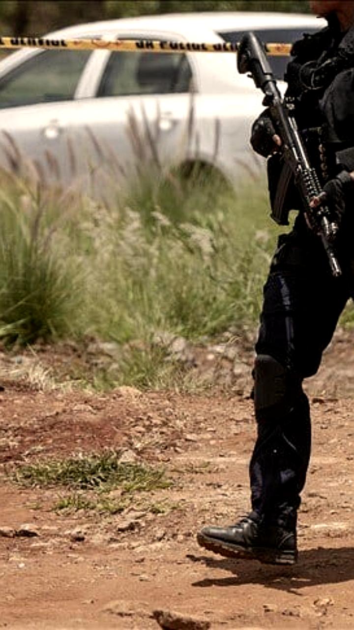Стрельба в ЮАР: 10 погибших и 10 раненых в результате инцидента рядом с Йоханнесбургом