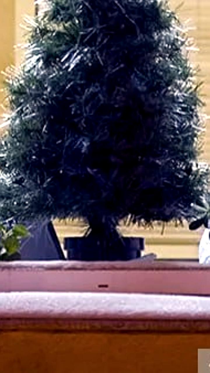 Киберпреступники используют фальшивые сообщения о доставке подарков для обмана россиян