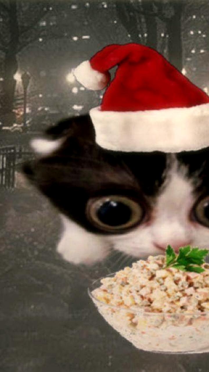 Гастроэнтеролог рекомендует безопасную порцию оливье на Новый год