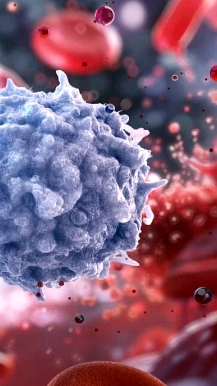 Исследования показывают перспективы генной терапии для омоложения иммунной системы у мышей