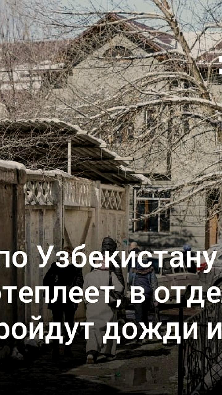 Погода в Узбекистане: без осадков на неделе, зимние условия на праздниках