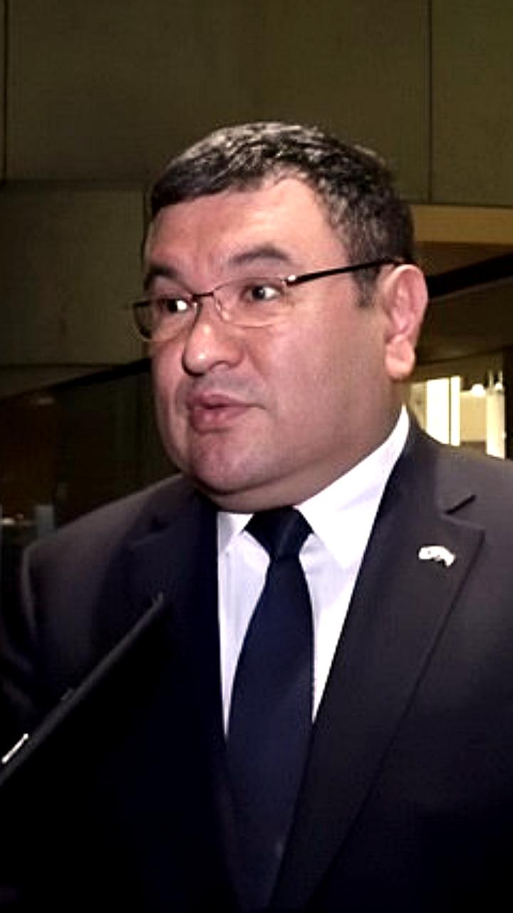 Узбекистан развивает энергетическое сотрудничество с Японией и Турцией