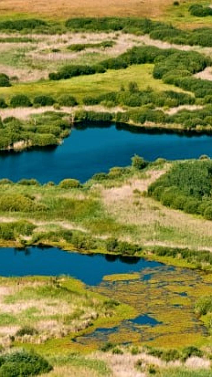 Природные парки Волгоградской области привлекли более 200 тысяч туристов в 2025 году