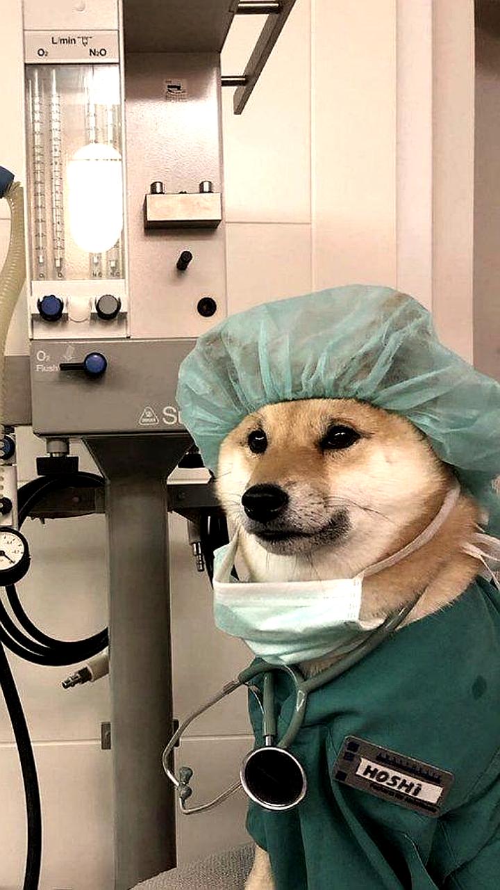 В Казани одобрен проект центра трансплантации и высокотехнологичной хирургии