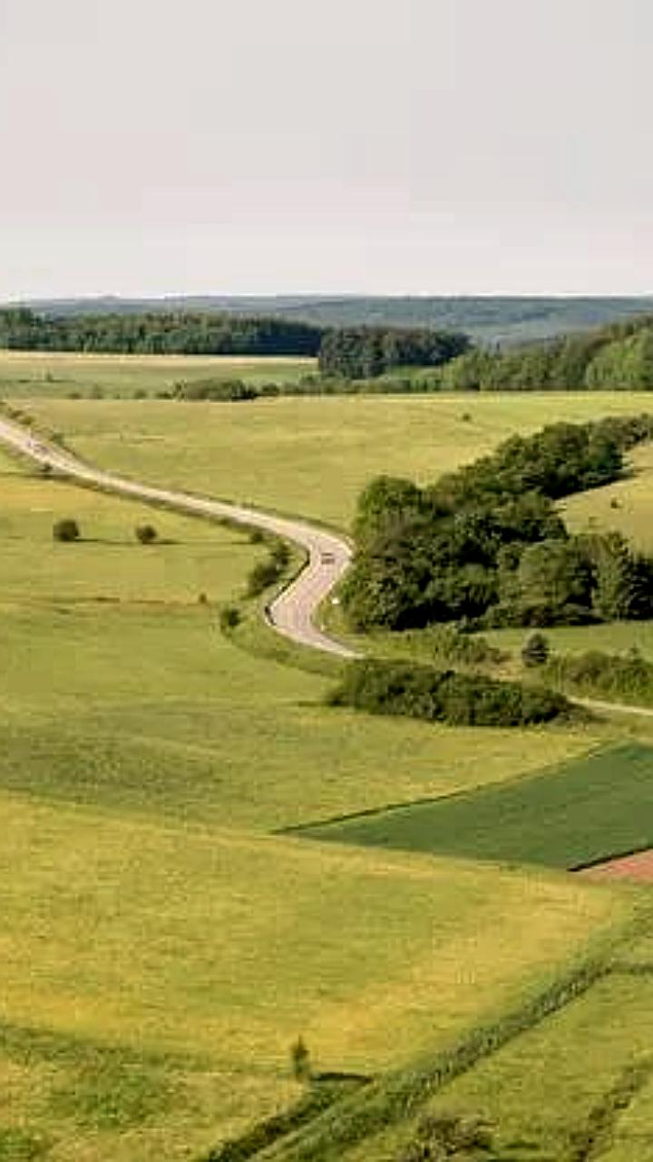 Власти Красноярского края и Ростовской области планируют активное развитие территорий до 2030 года