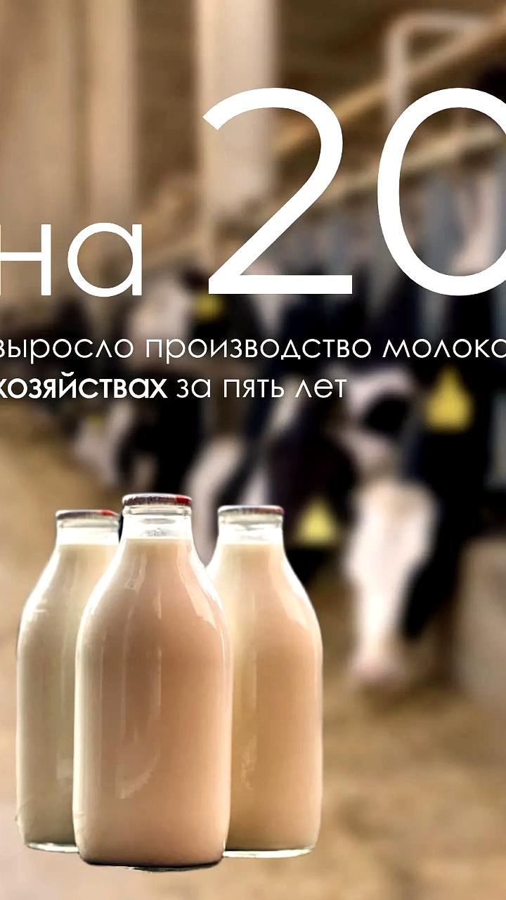 Бурятия увеличивает импорт мяса из Монголии до 5000 тонн в год