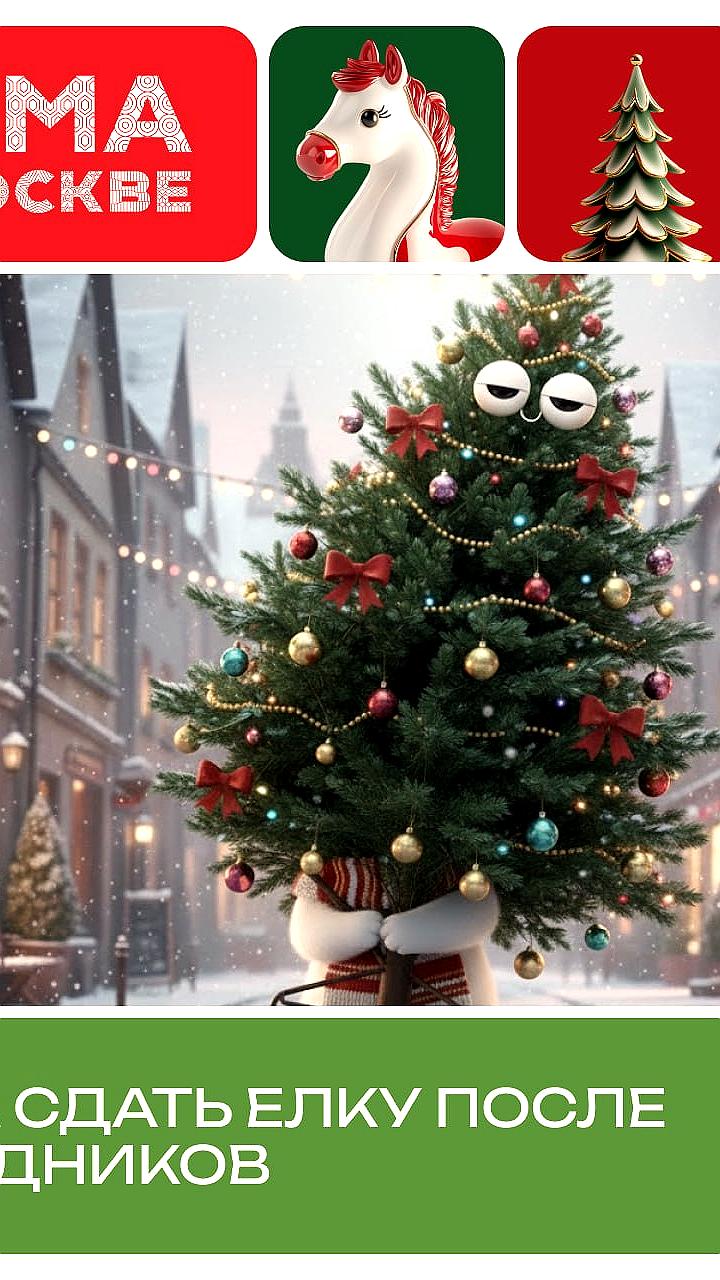 В Москве стартует акция по переработке новогодних деревьев Елочный круговорот