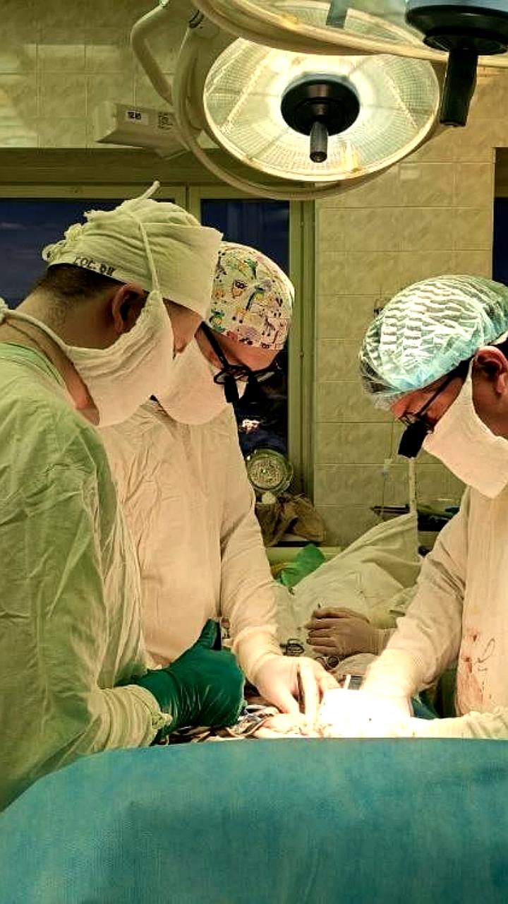 Архангельские врачи успешно провели пересадки почек и печени для трех пациентов