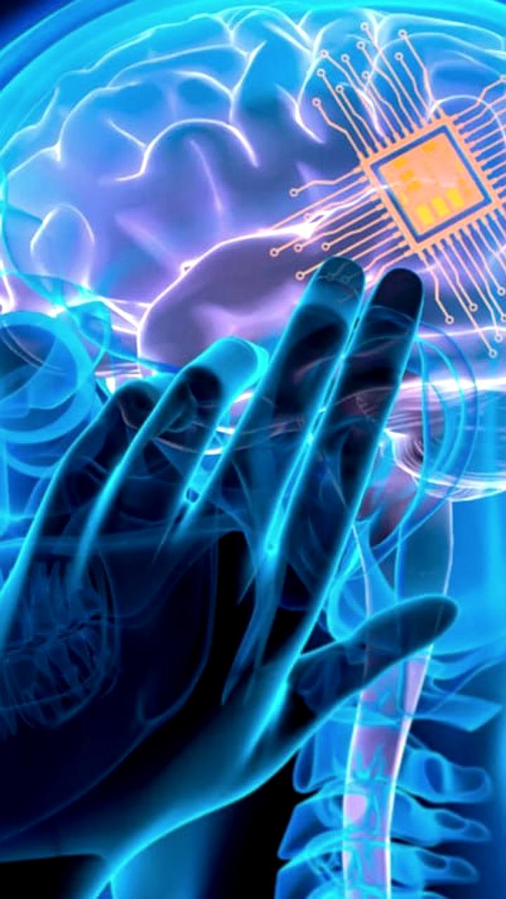 Яндекс разработал ИИ инструмент для анализа стресса в поведении лабораторных мышей