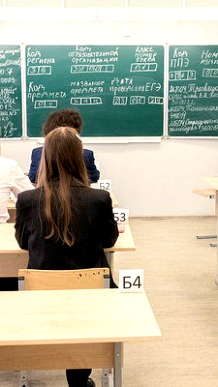 Увольнение директора школы в Среднеуральске вызывает протесты родителей и учителей