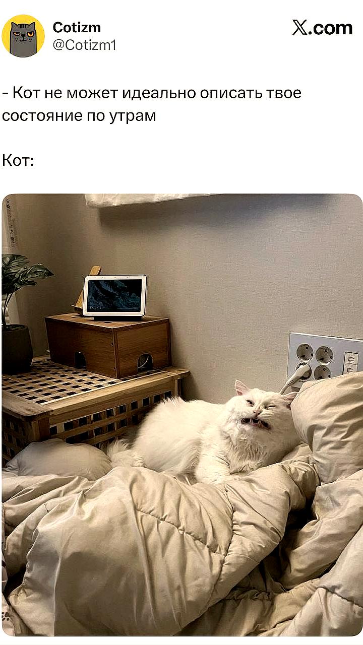 В сети появился фоторобот, отражающий образы пользователей в понедельник утром